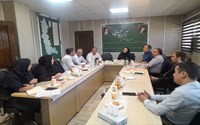 پیگیری مصوبات نهمین کارگروه ساماندهی گندم،آرد و نان