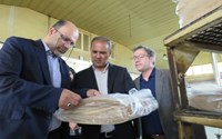 بازدید از تنها کارخانه تولید کننده آرد کامل در استان آذربایجان غربی